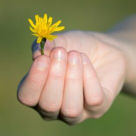 Der Sinn des menschlichen Daseins ist das Glück